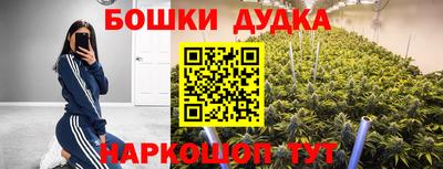 каннабис Кингисепп