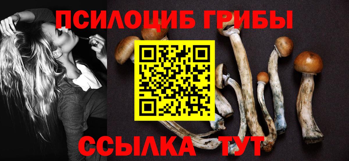 Азов  Псилоцибиновые грибы ЛСД  Псилоцибиновые грибы MAGIC MUSHROOMS  Вход с VPN 