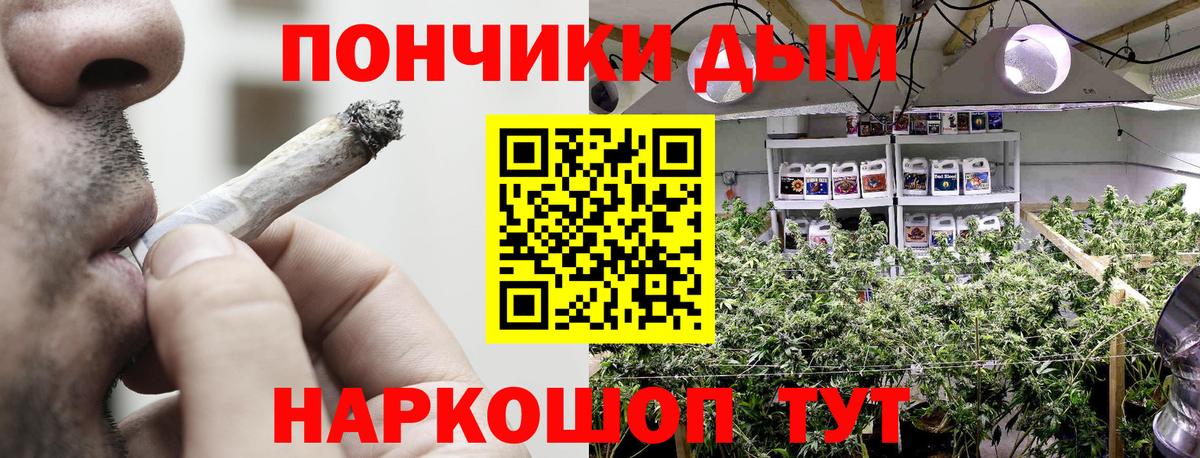 Бошки Шишки планчик Азов